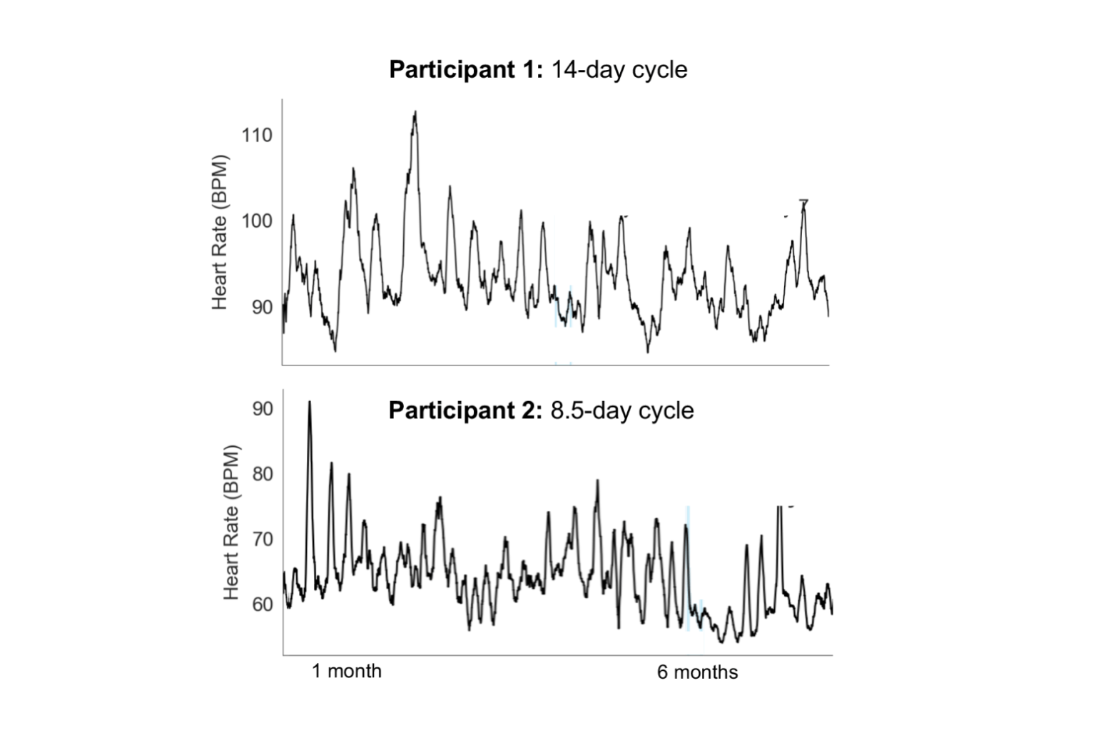 heart-rate-and-effect-on-seizures-seer-medical-au