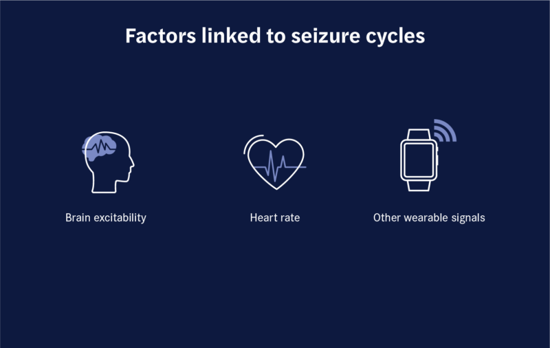 Text reads: factors linked to seizure cycles. Below the text are 3 illustrations with text: brain excitability, heart rate, and other wearable signals.