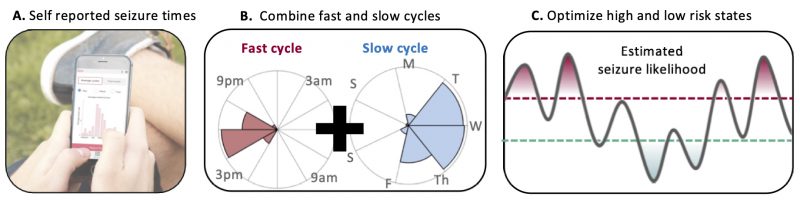 Creating a seizure forecast by collecting self-reported seizure times, combining fast and slow cycles, and optimising high and low risk states